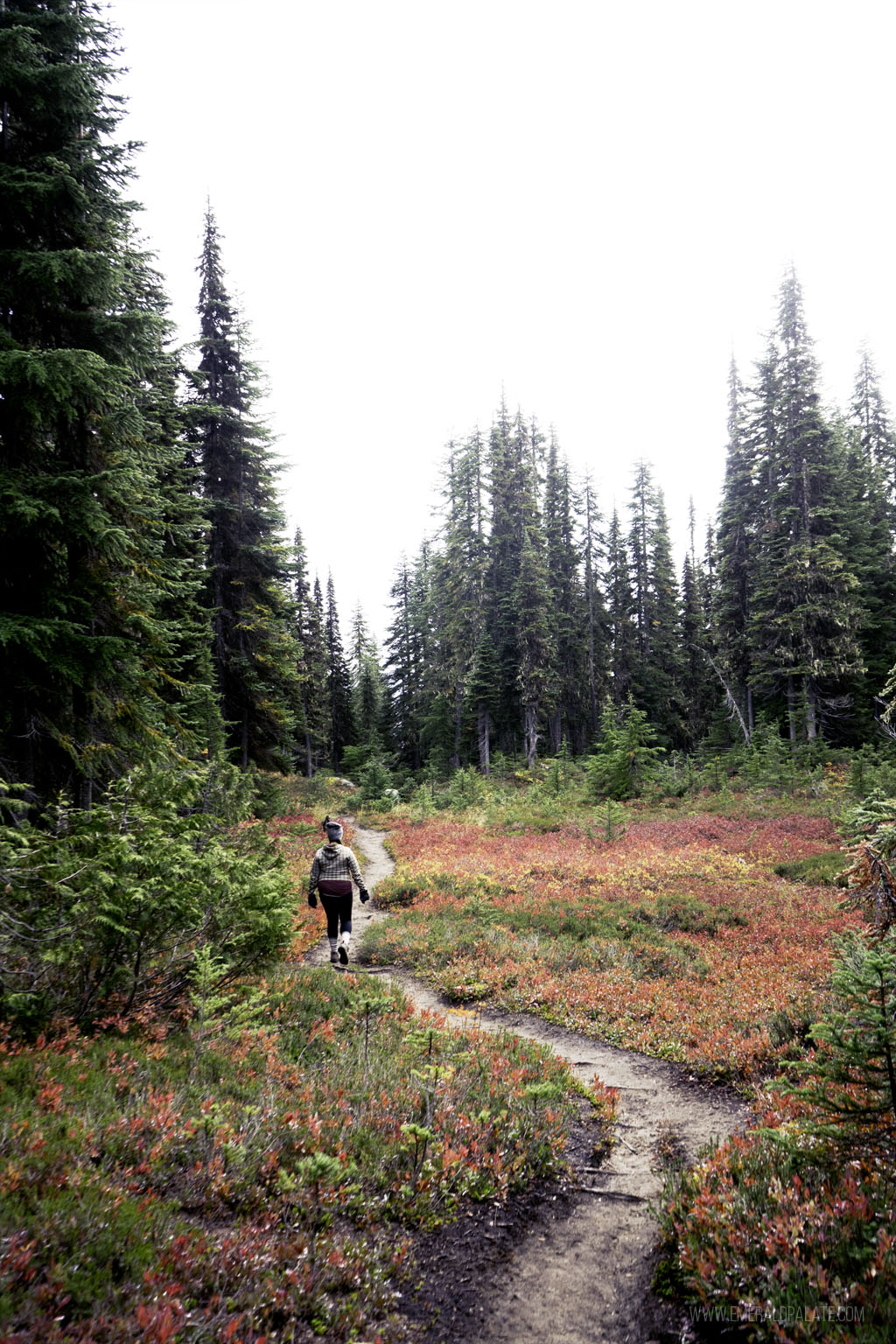 woman walking through a meadow with fall colors on a fall hike