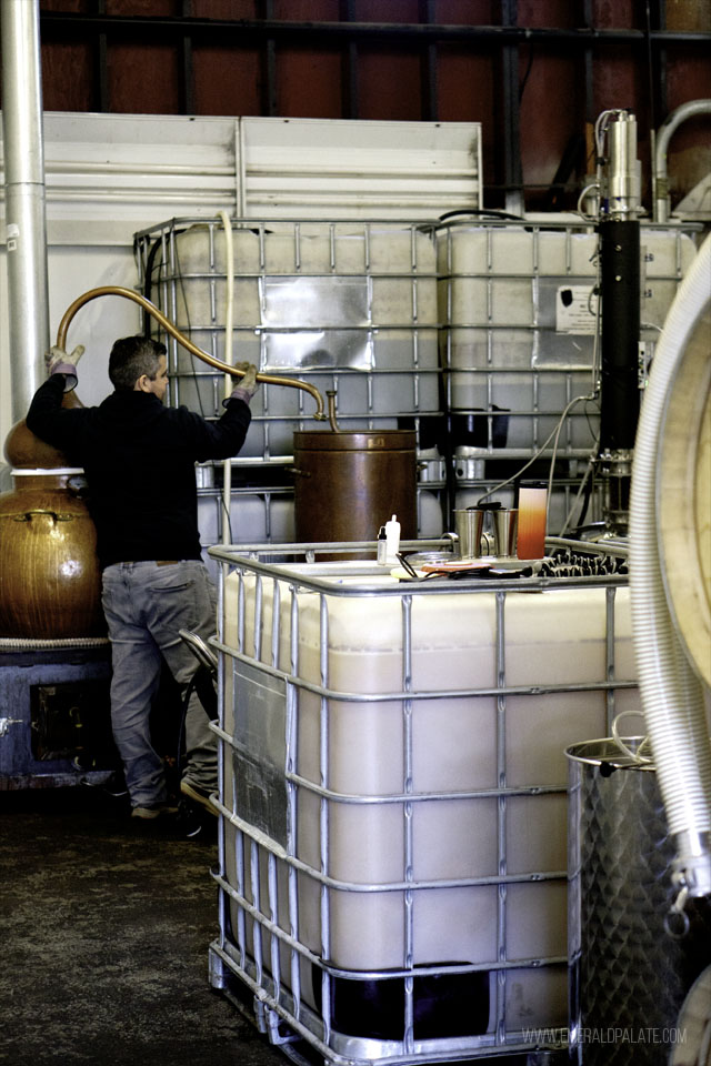 Owner Ilias of Mastrogiannis Distillery near Tacoma WA distilling brandy