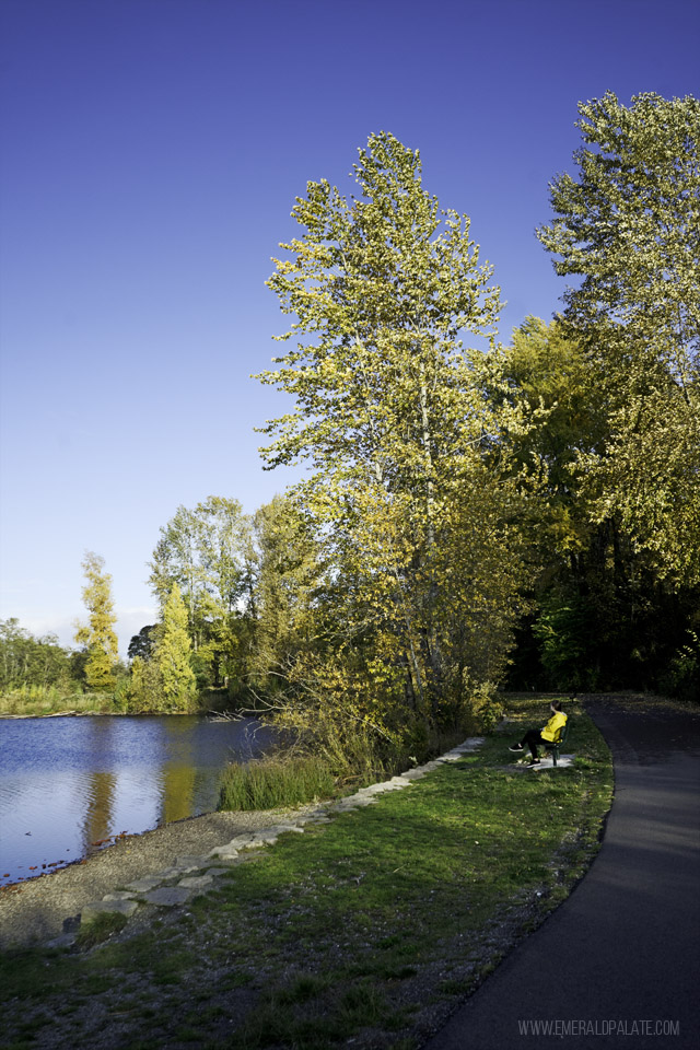 Person sitting on trail loop around Waughhop Lake in Fort Steilacoom Park in Tacoma WA