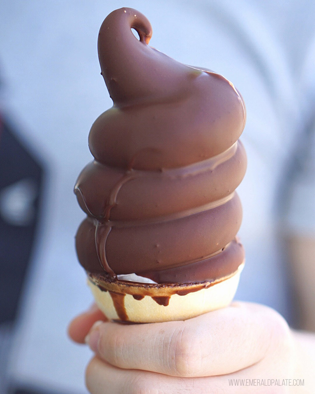Best Ice Cream Shops in Seattle: The 2023 Controversial List