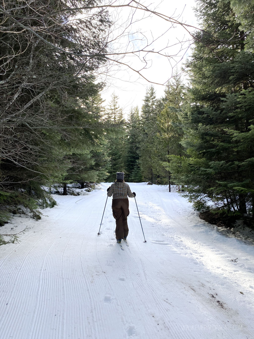 woman cross country skiing between trees in Mt. Hood, OR