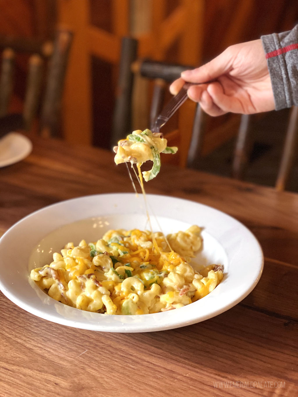 person picking up forkful of mac and cheese at a Mt. Hood skiing area