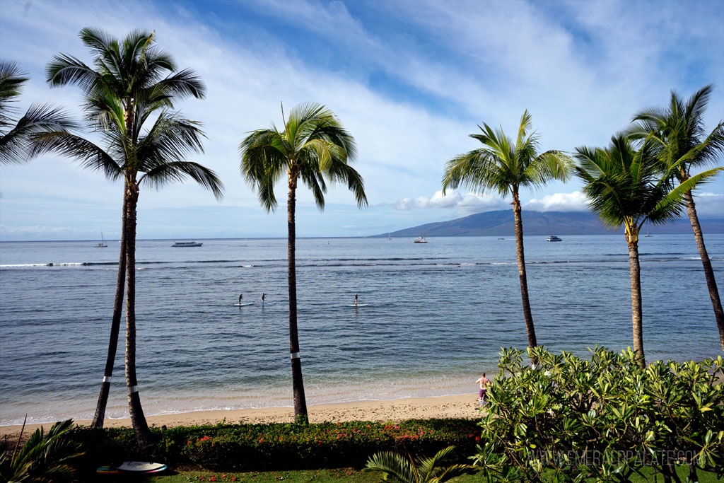 view of the ocean and palm trees in Maui