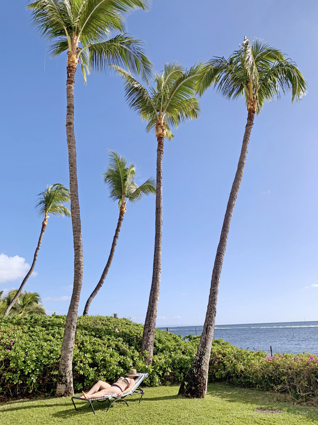 woman lounging near palm trees during a 5 day Maui itinerary