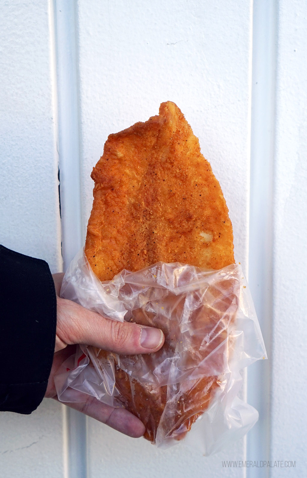 person holding fried catfish, one of the best cheap eats in Seattle
