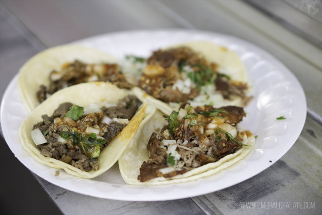 carnitas tacos, a must try Seattle restaurant