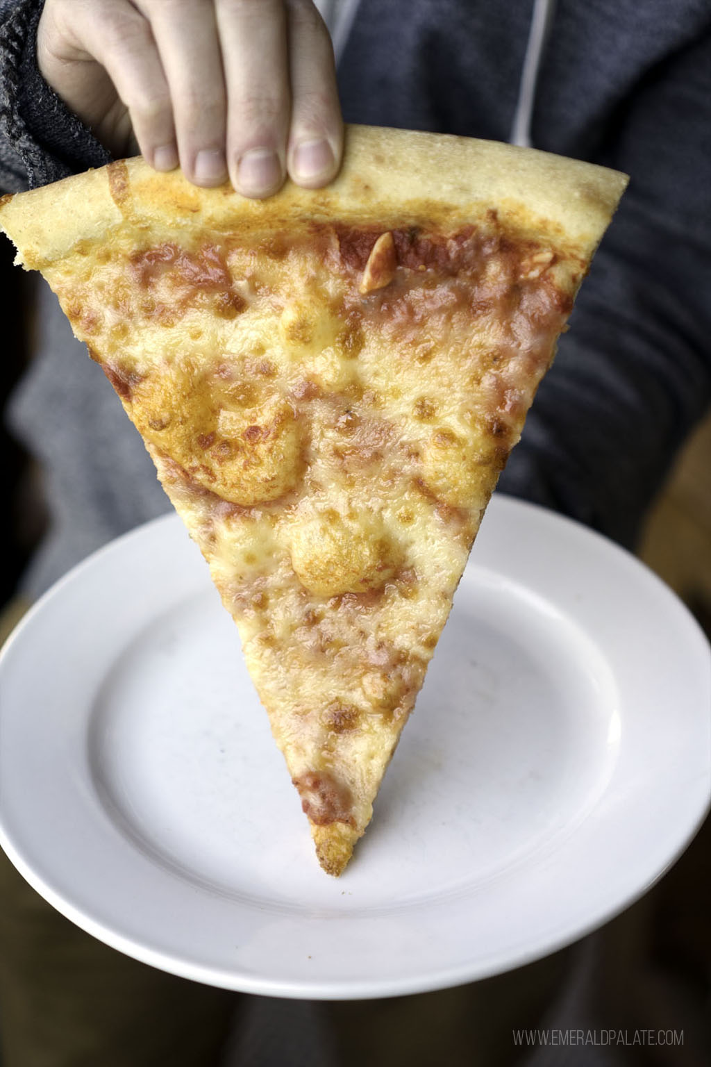 person holding slice of New York style plain cheese pizza from one of Seattle's best pizza places