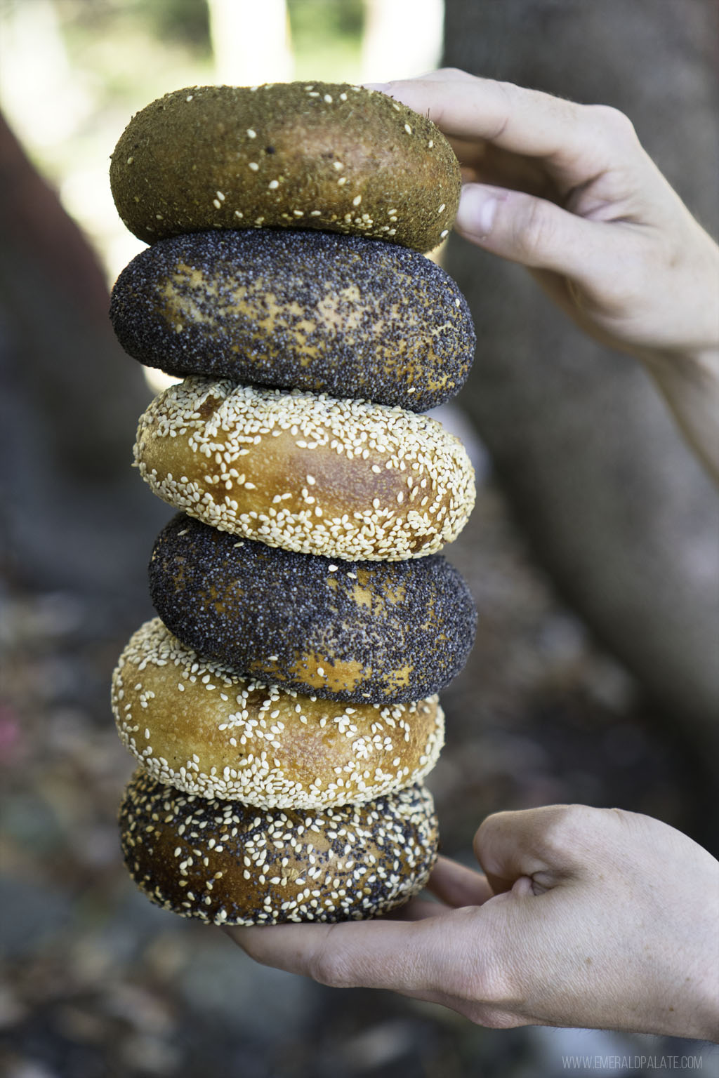 stack of some of the best bagels in Seattlle