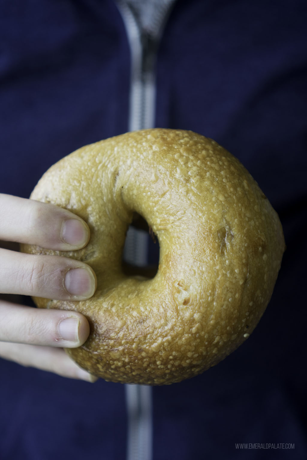 person holding an onion bagel from Seattle