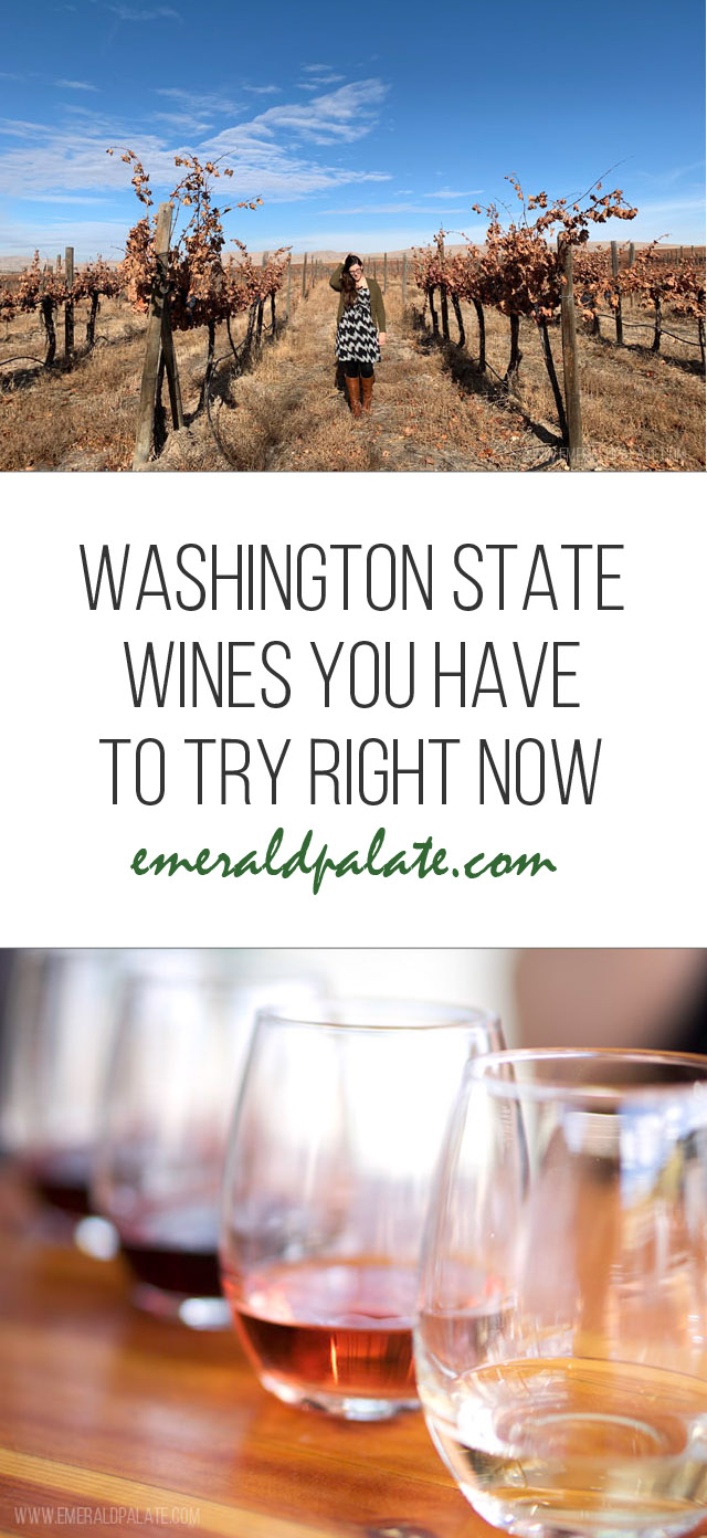 collage of images include woman walking in a vineyard and wine tasting flight. Has text that says Washington State Wines you have to try right now.