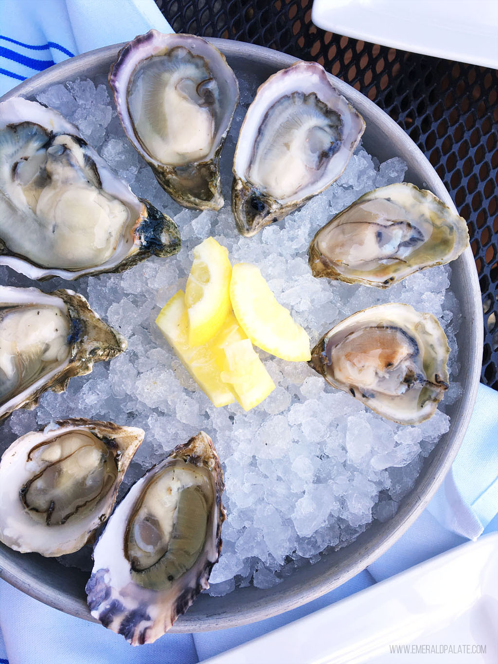 plate of raw oysters at one of the best oyster bars in Seattle, Washington