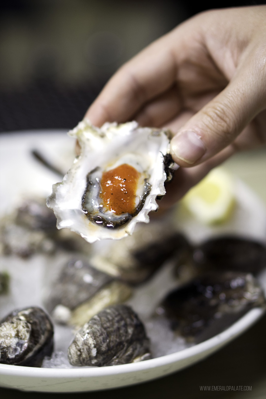 person holding a raw oyster at the best place to buy seafood in Seattle