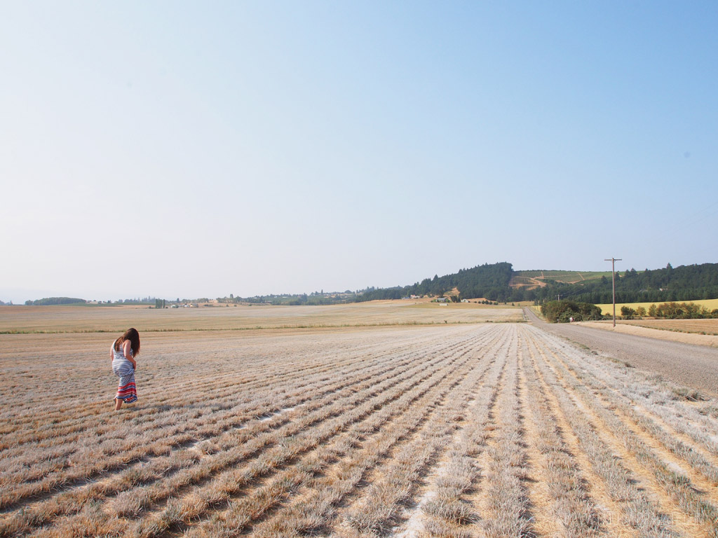 woman walking through fields at Oregon vineyard