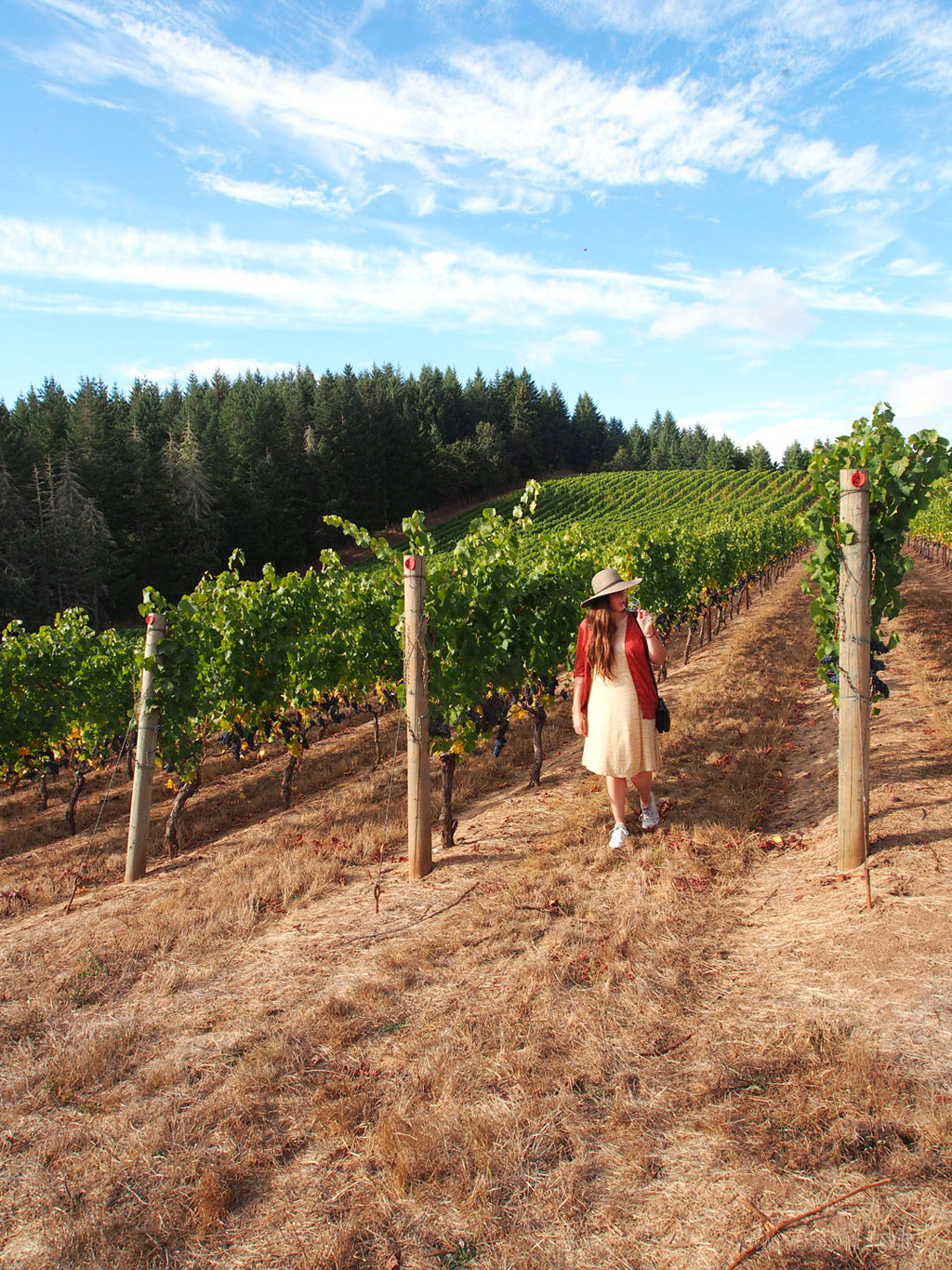 woman walking through the vineyards at one of the best Oregon wineries