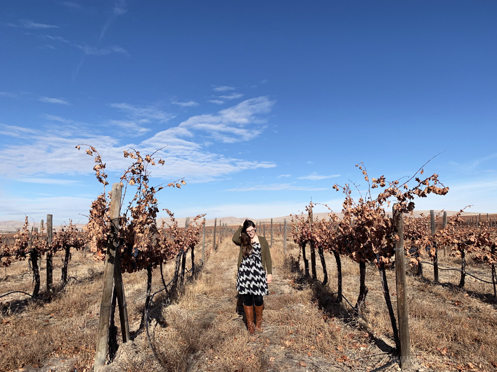 woman walking through vineyards at harvest, one of the best things to do during fall in Seattle