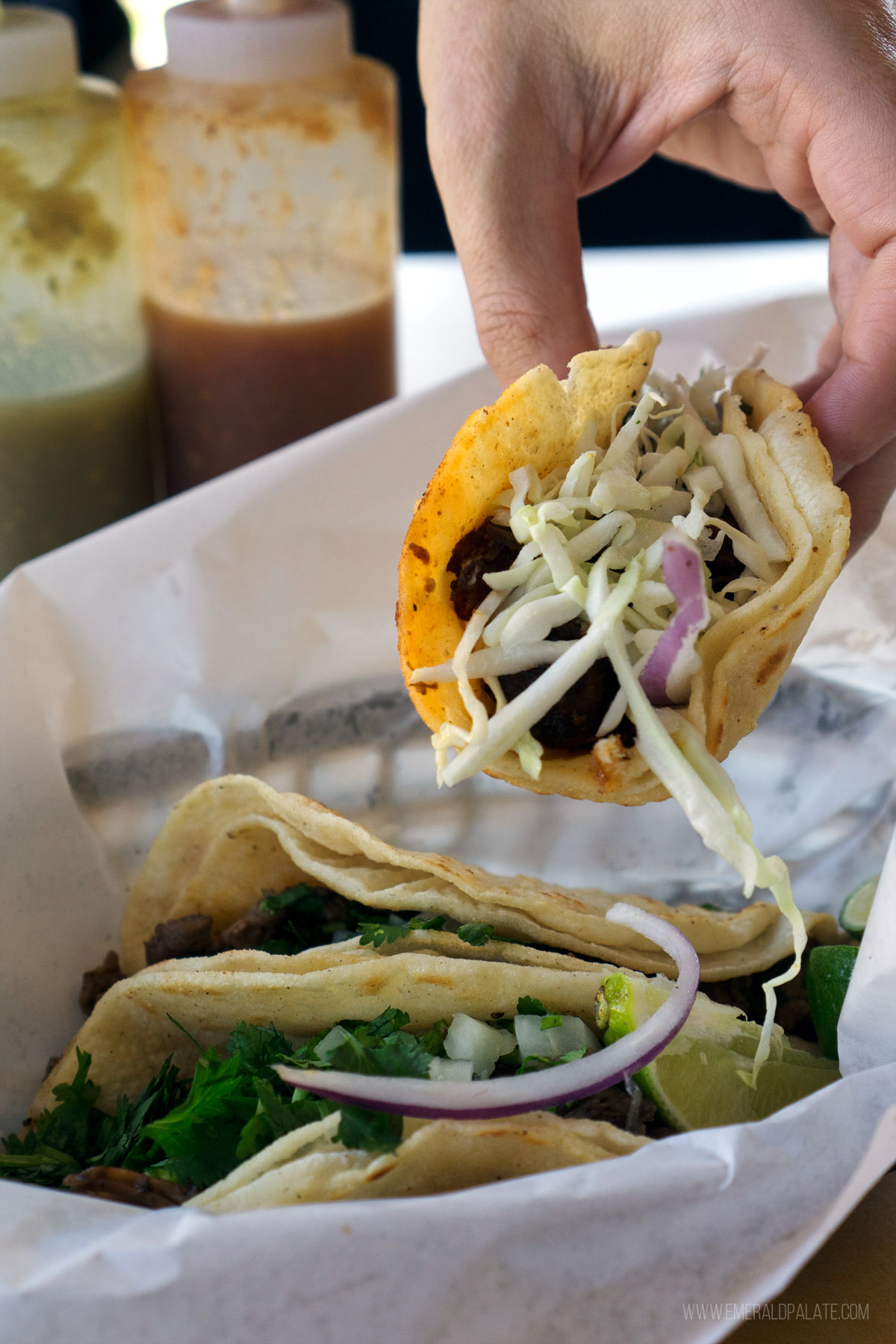 person holding a taco from one of the best restaurants in Skagit County