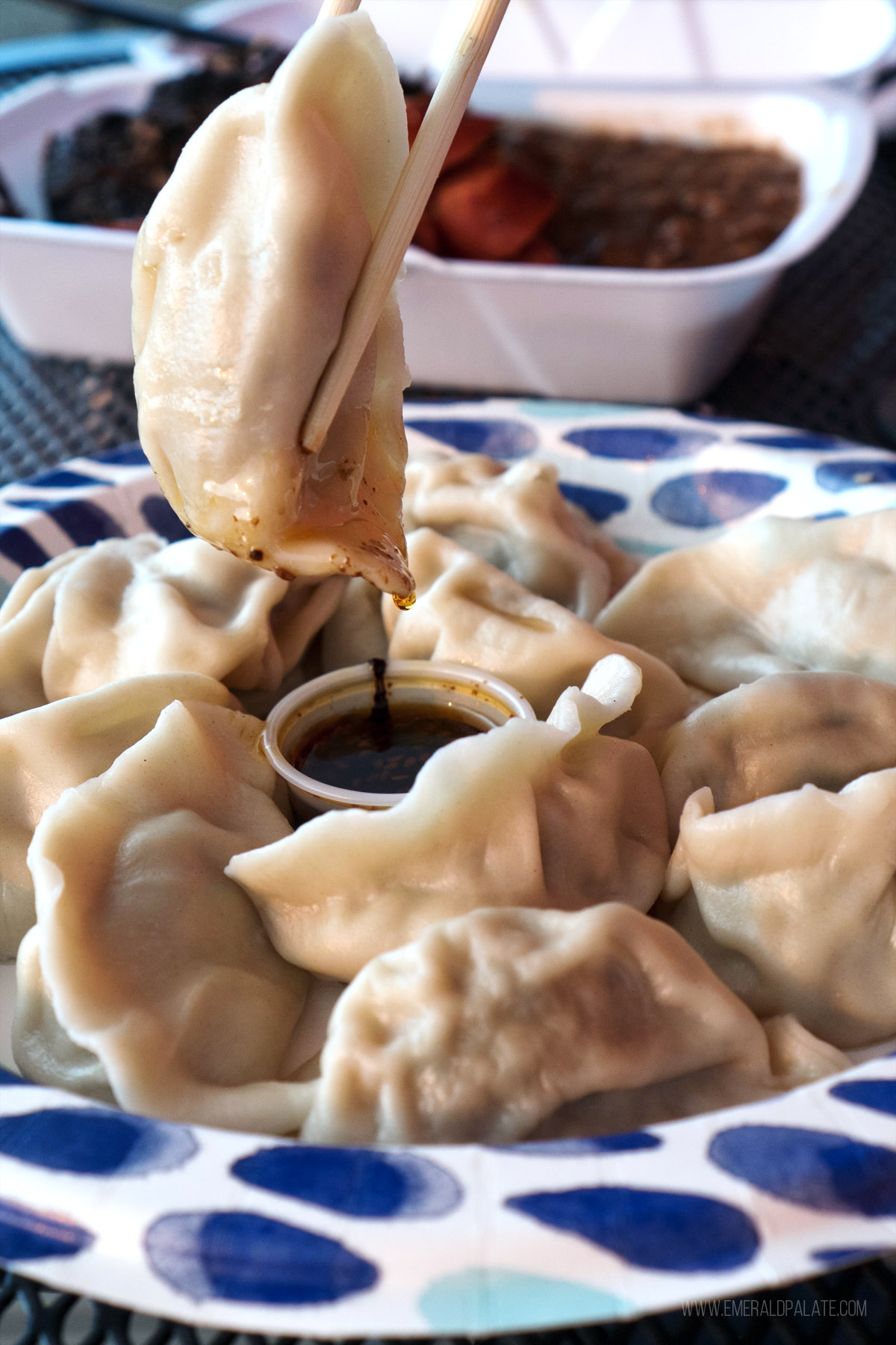 person dipping a dumpling into soy sauce