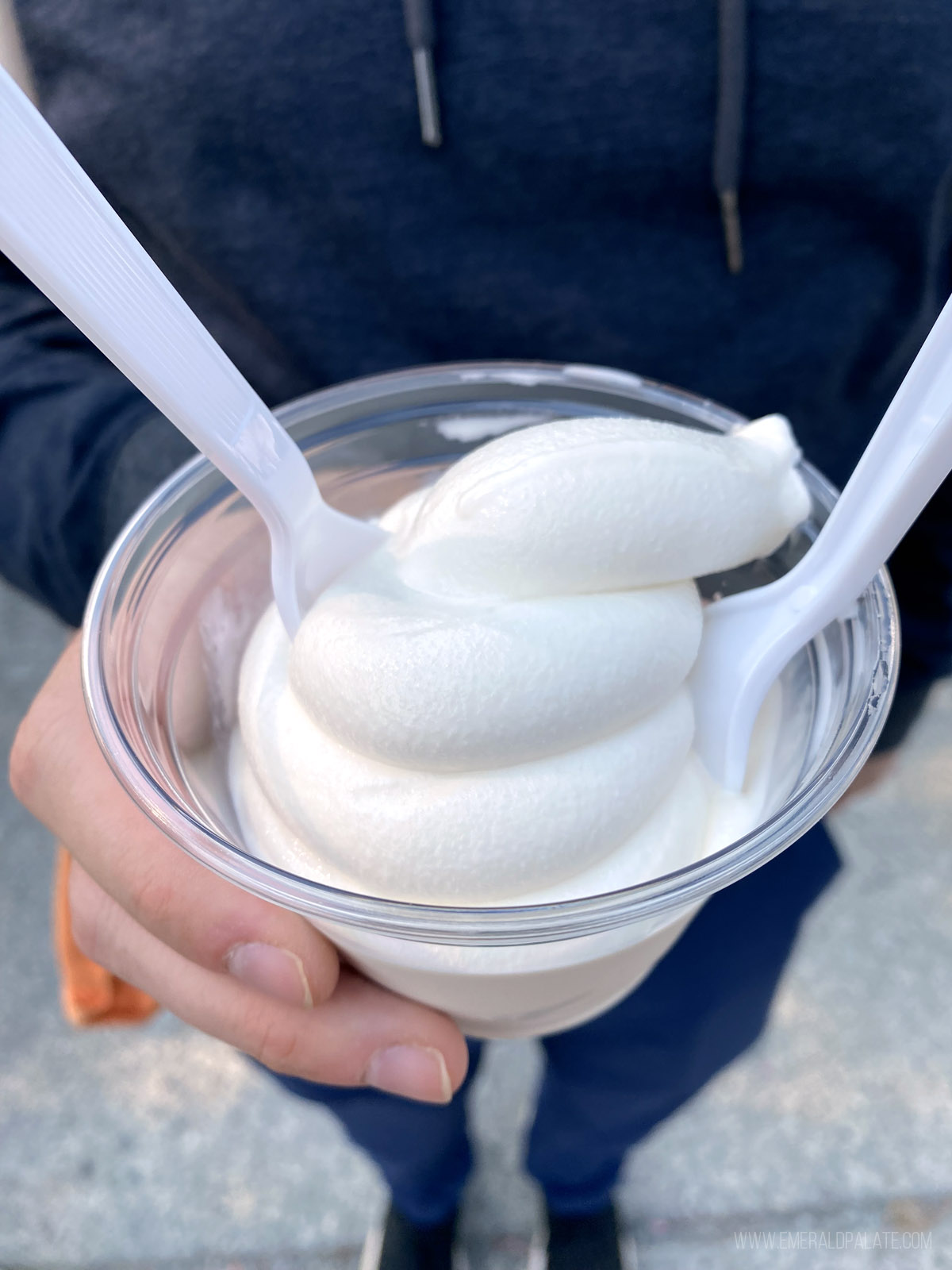 person holding soft serve vanilla ice cream