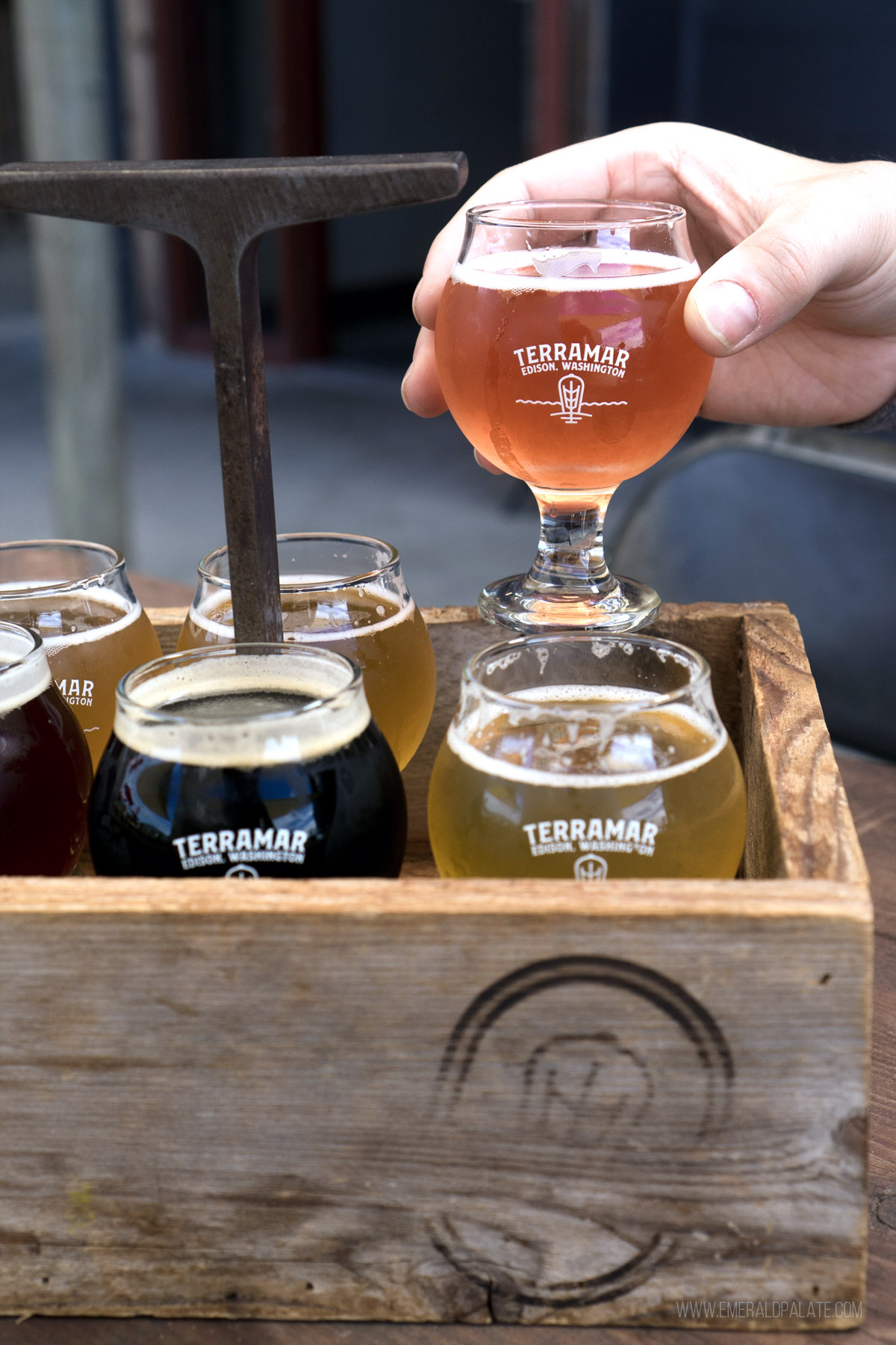 person picking up a glass from a beer tasting flight