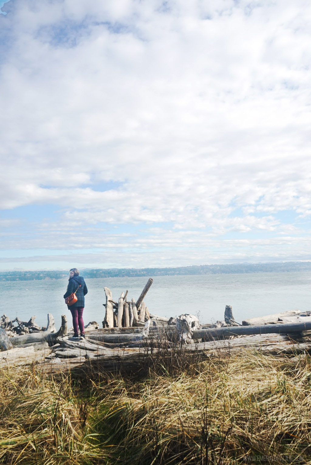 woman standing on log at beach overlooking water