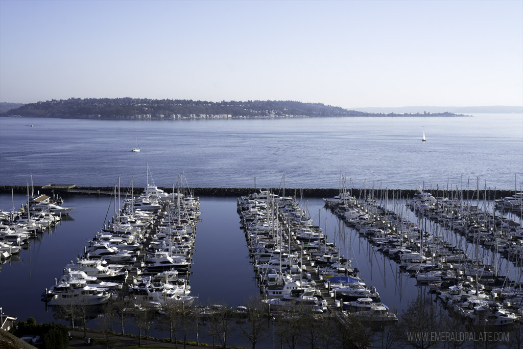 Seattle viewpoint of boat dock and Puget Sound