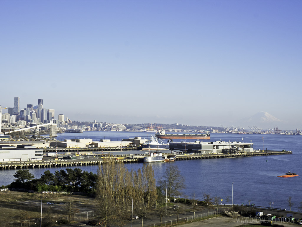 view of Seattle skyline, Mt Rainier, and Puget Sound at one of the best Seattle viewpoints