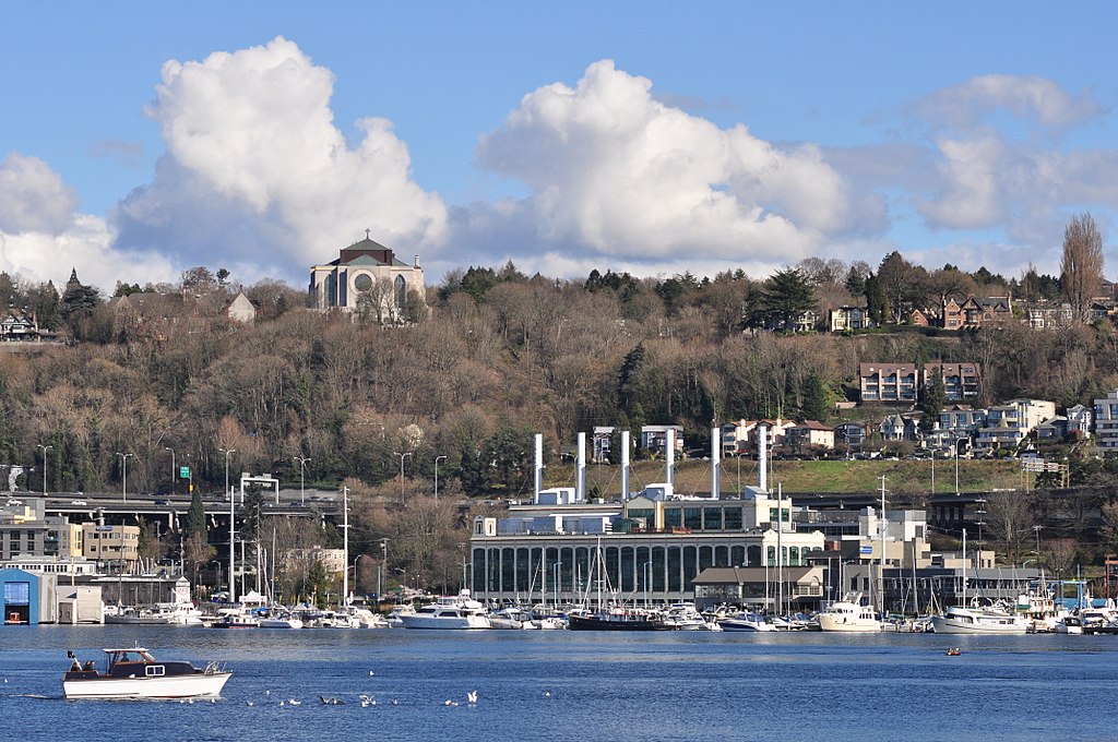Viewpoint of Seattle at Lake Union Park