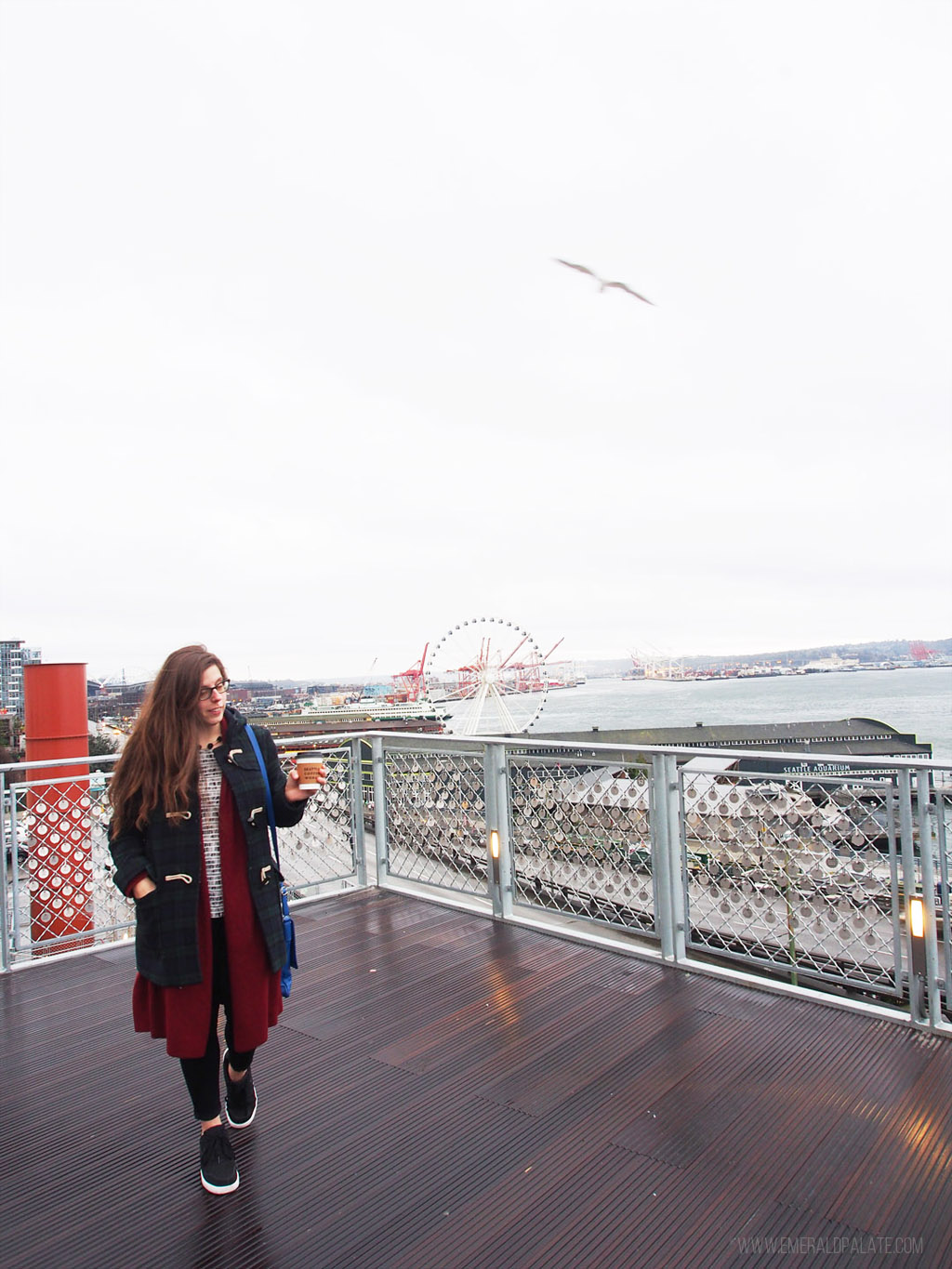 woman with coffee and a bird from Pike Place Market viewpoint of Puget Sound