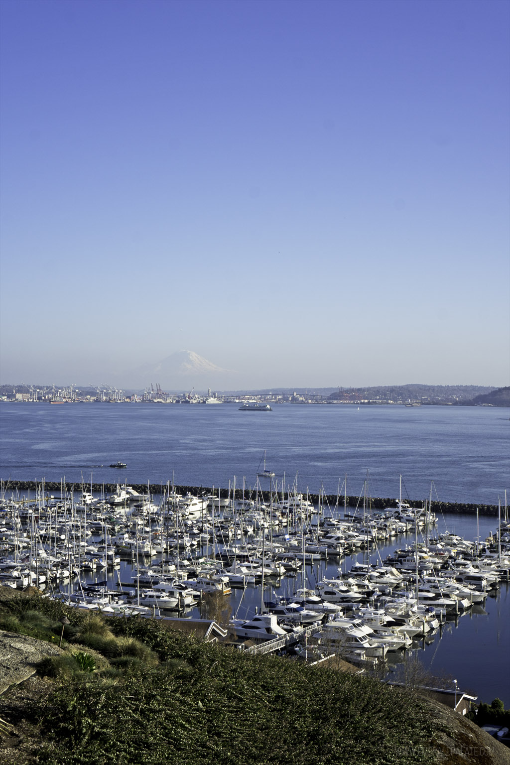 Seattle viewpoint of boats and Mt. Rainier