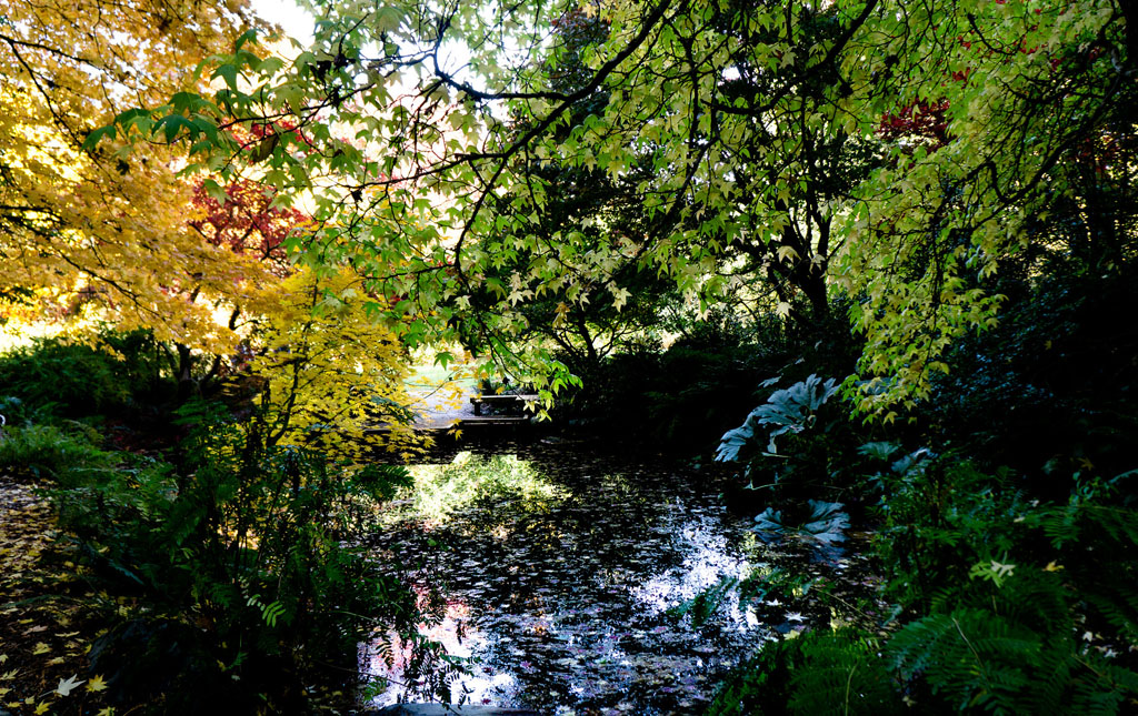 view of a creek in Seattle