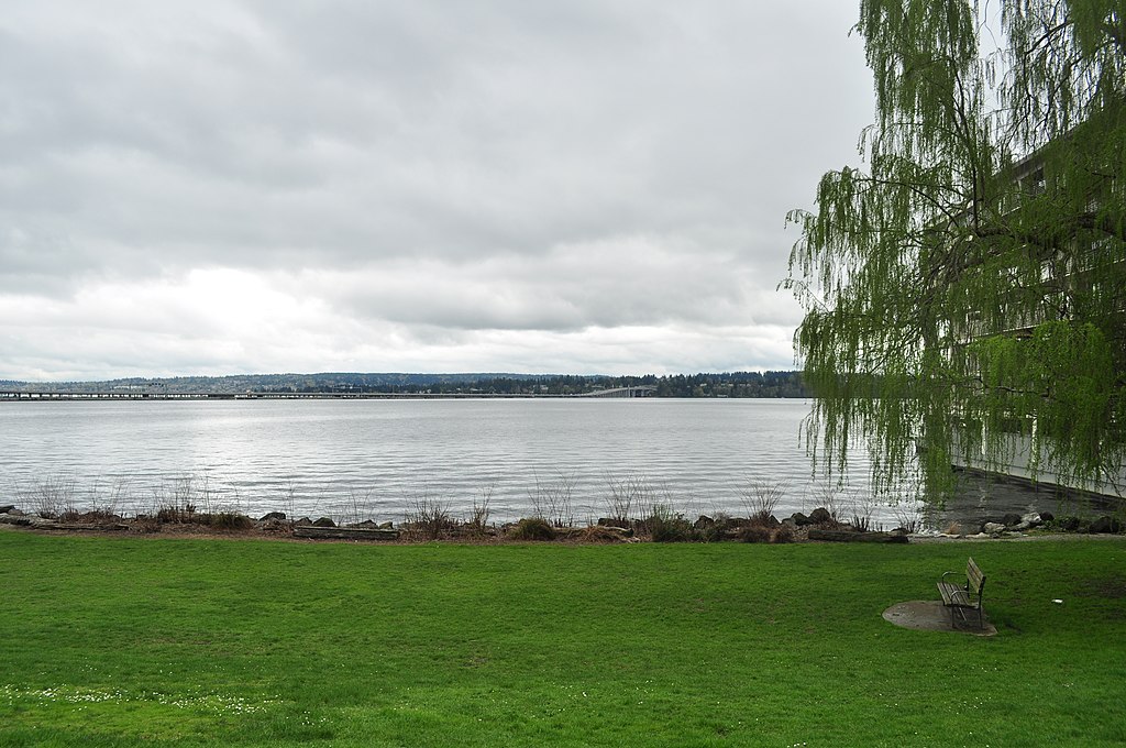View of Lake Washington from Madison Beach 