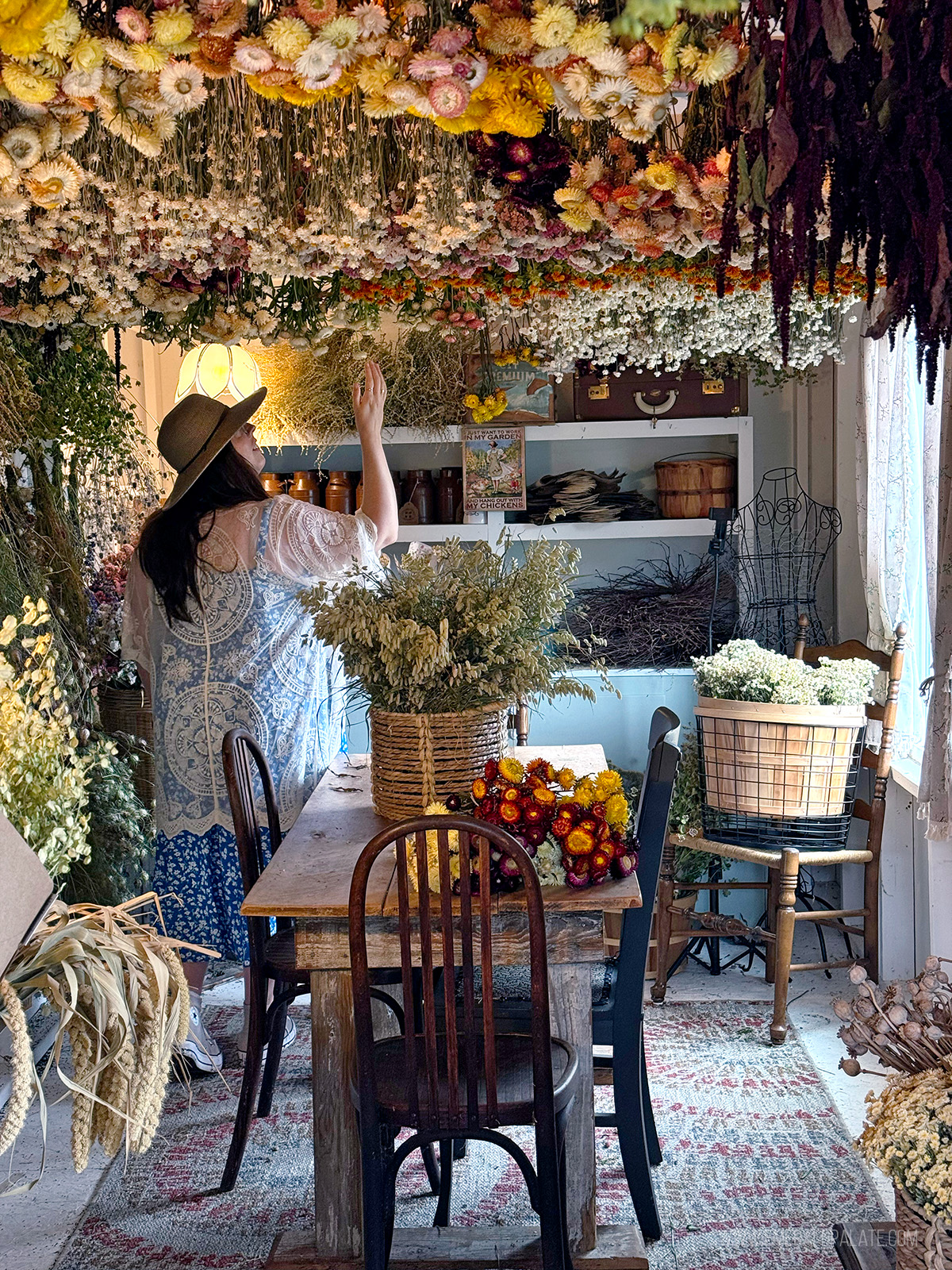 woman looking at flowers in a drying shed hanging from a ceiling, one of the best things to do in Skagit Valley