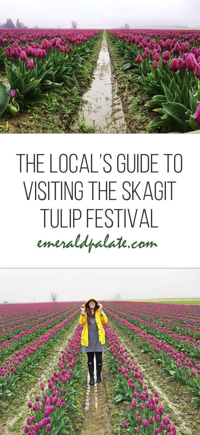la guía del local para visitar el Festival del Tulipán del Valle de Skagit's guide to visiting the Skagit Valley Tulip Festival