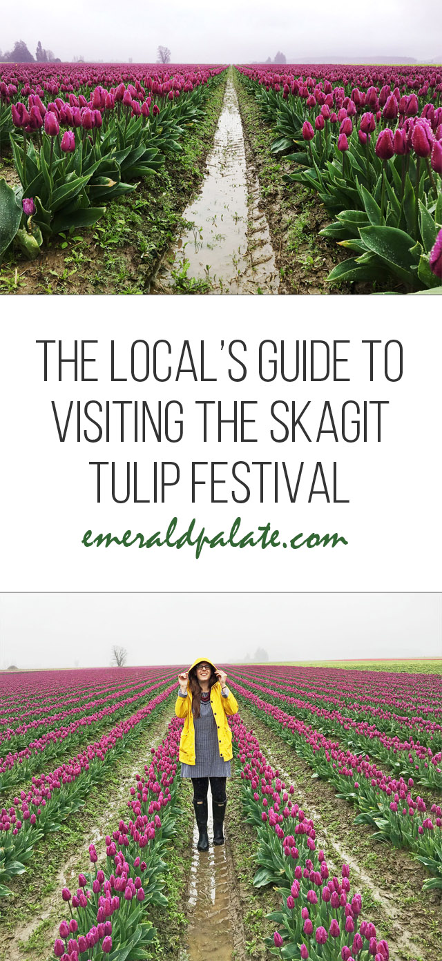 le guide du local pour visiter le festival des tulipes de Skagit Valley's guide to visiting the Skagit Valley Tulip Festival