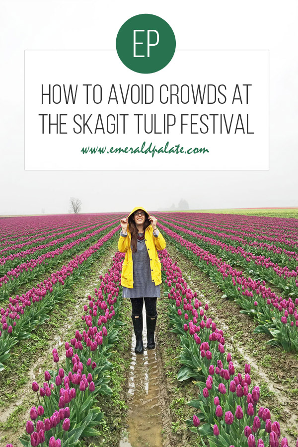 cómo evitar las multitudes en el Festival del Tulipán de Skagit