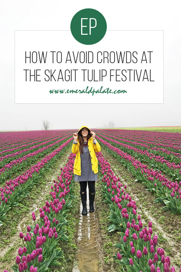 como evitar multidões no Skagit Tulip Festival