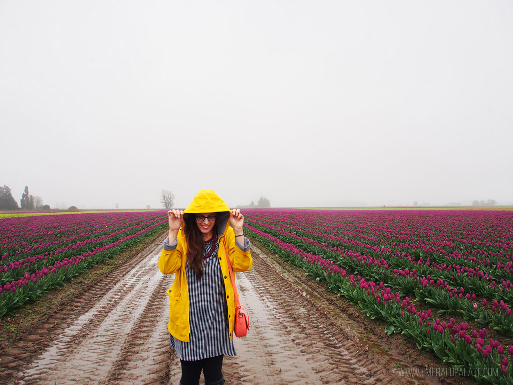 woman covering herself from rain at Seattle Tulip Festival