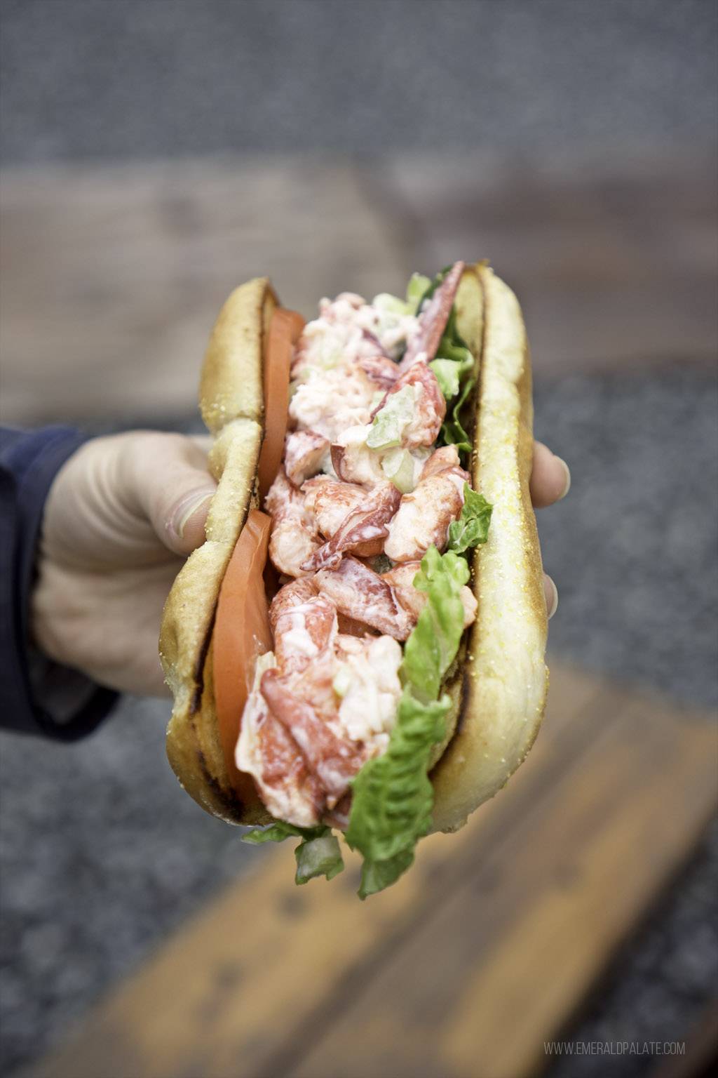 person holding lobster roll at one of the best Skagit Valley restaurants