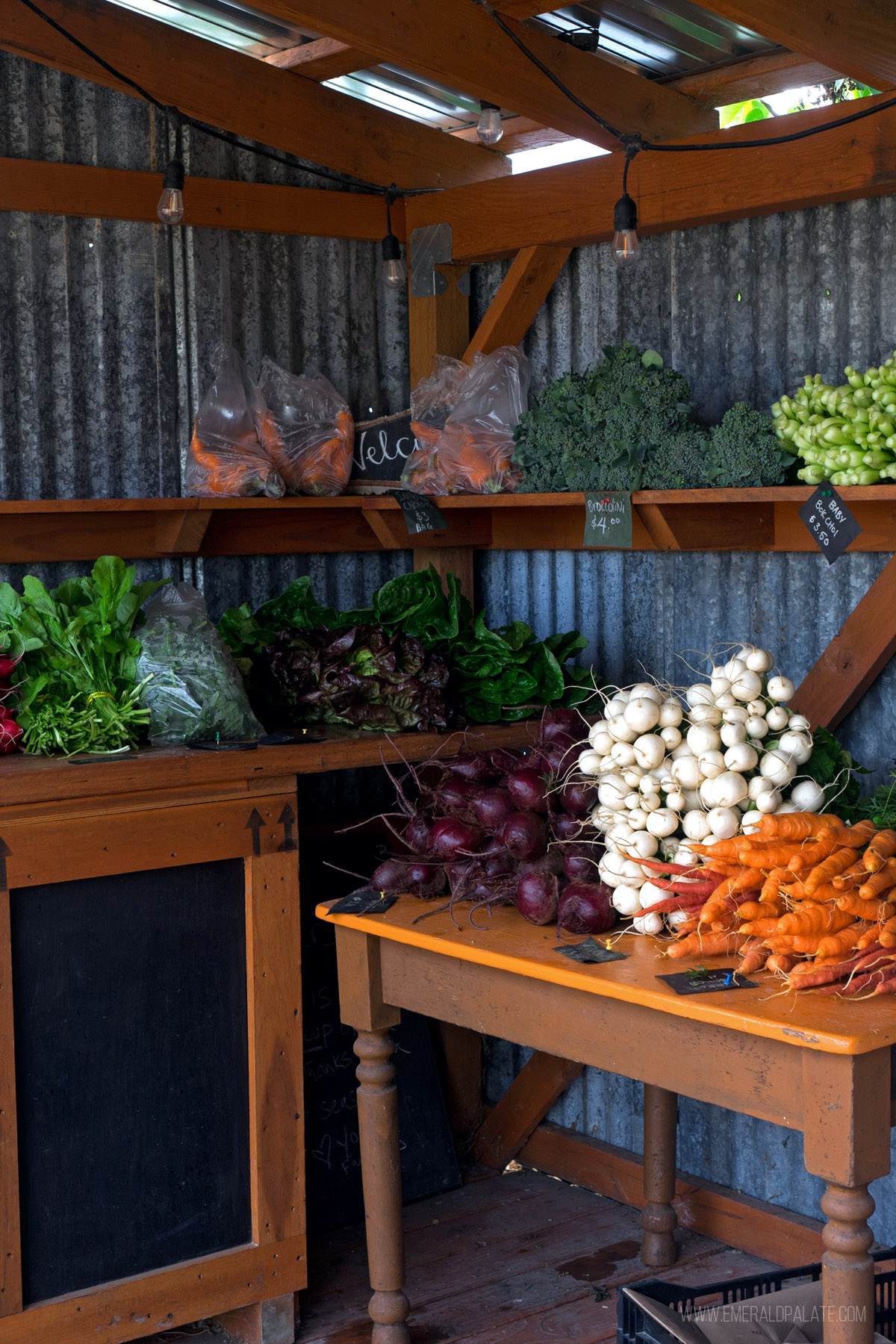 farm stand in Skagit Valley