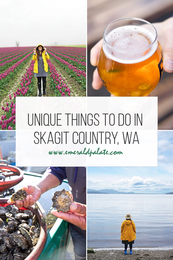 unique things to do in Skagit County WA