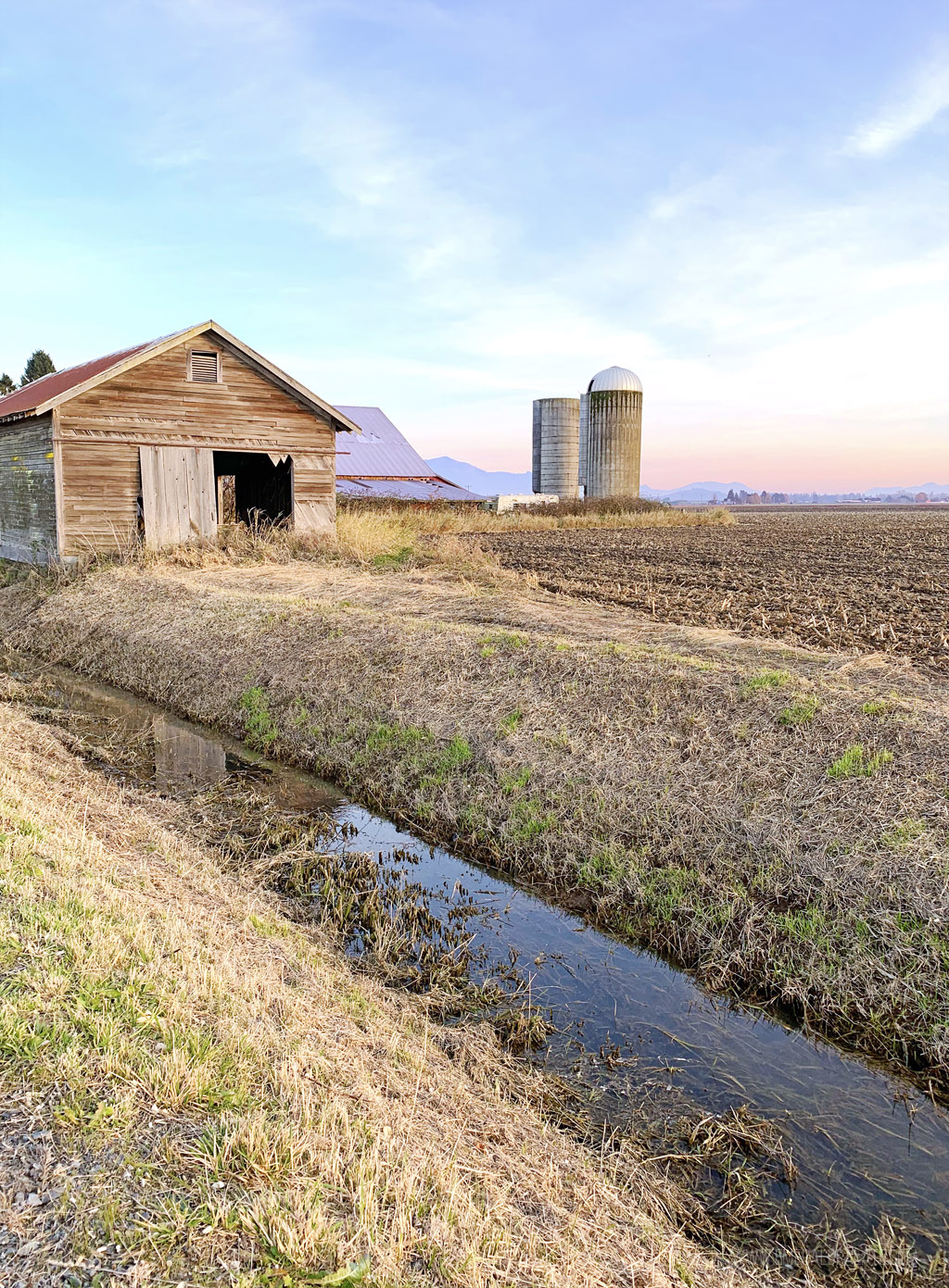 Skagit Valley farm at sunset