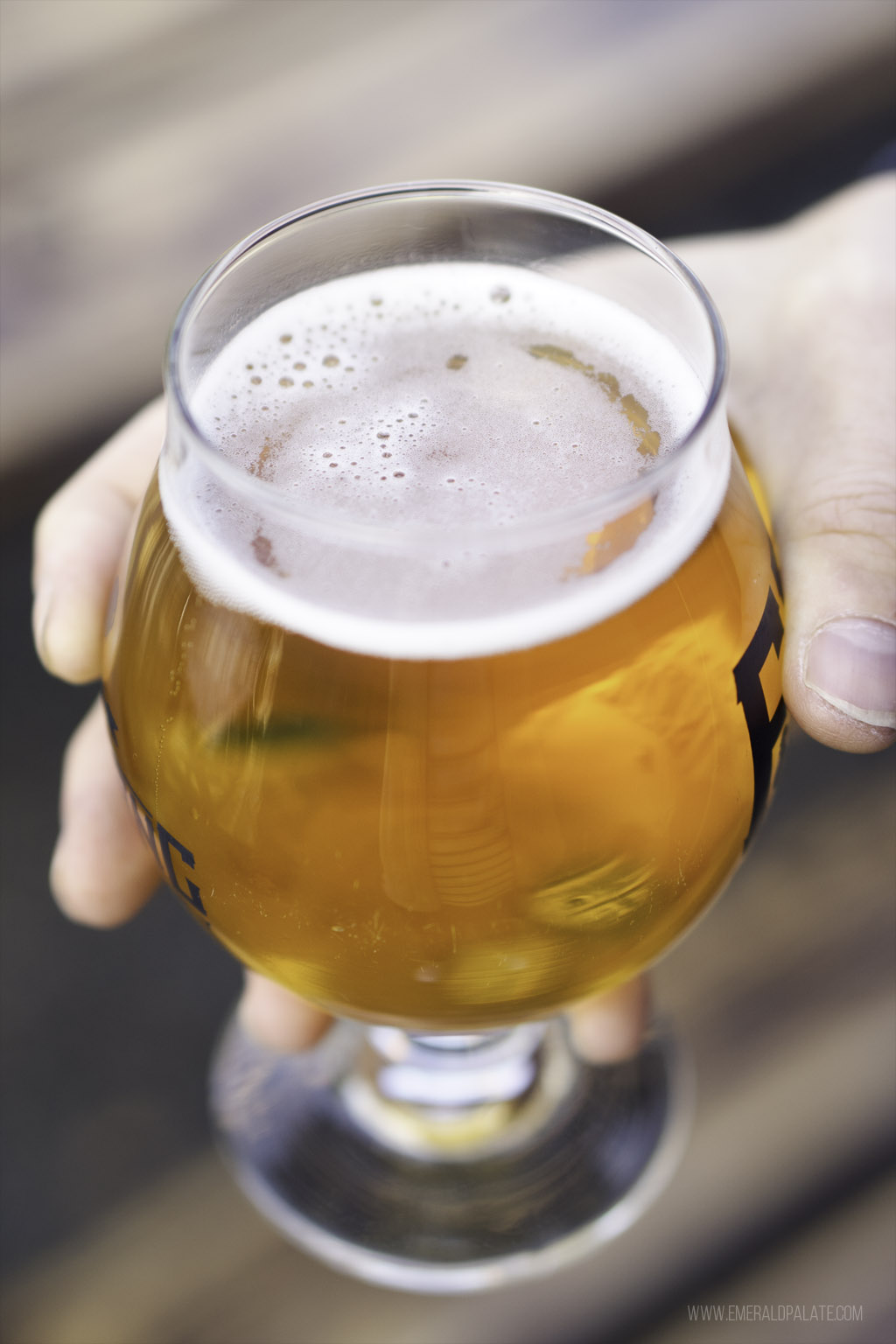 close up of person holding beer at a brewery