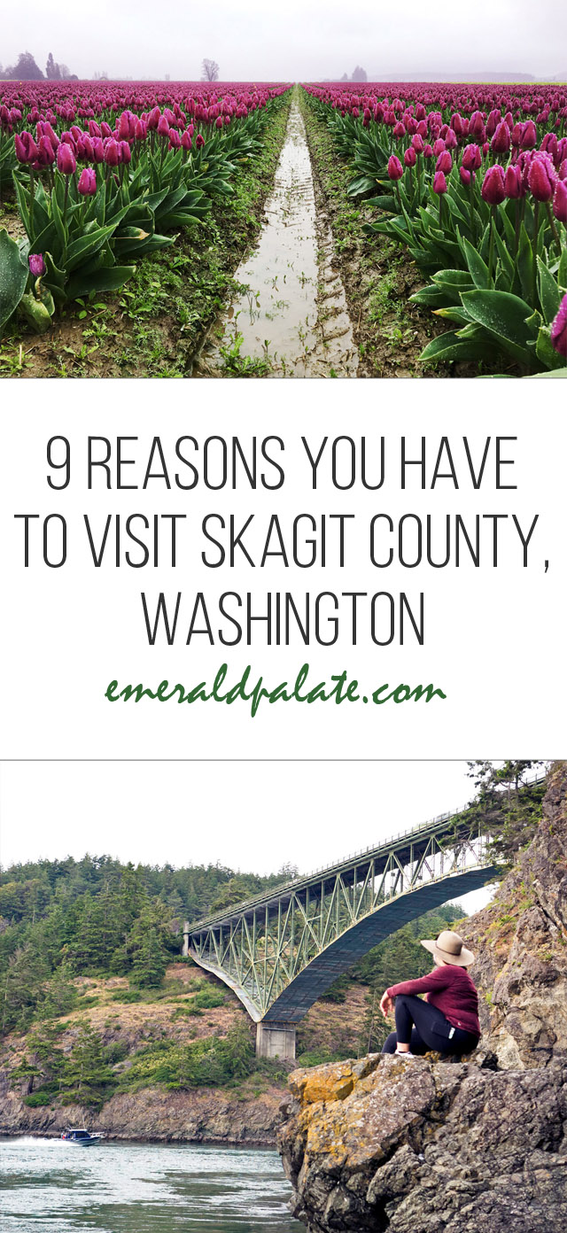 reasons you have to visit Skagit County