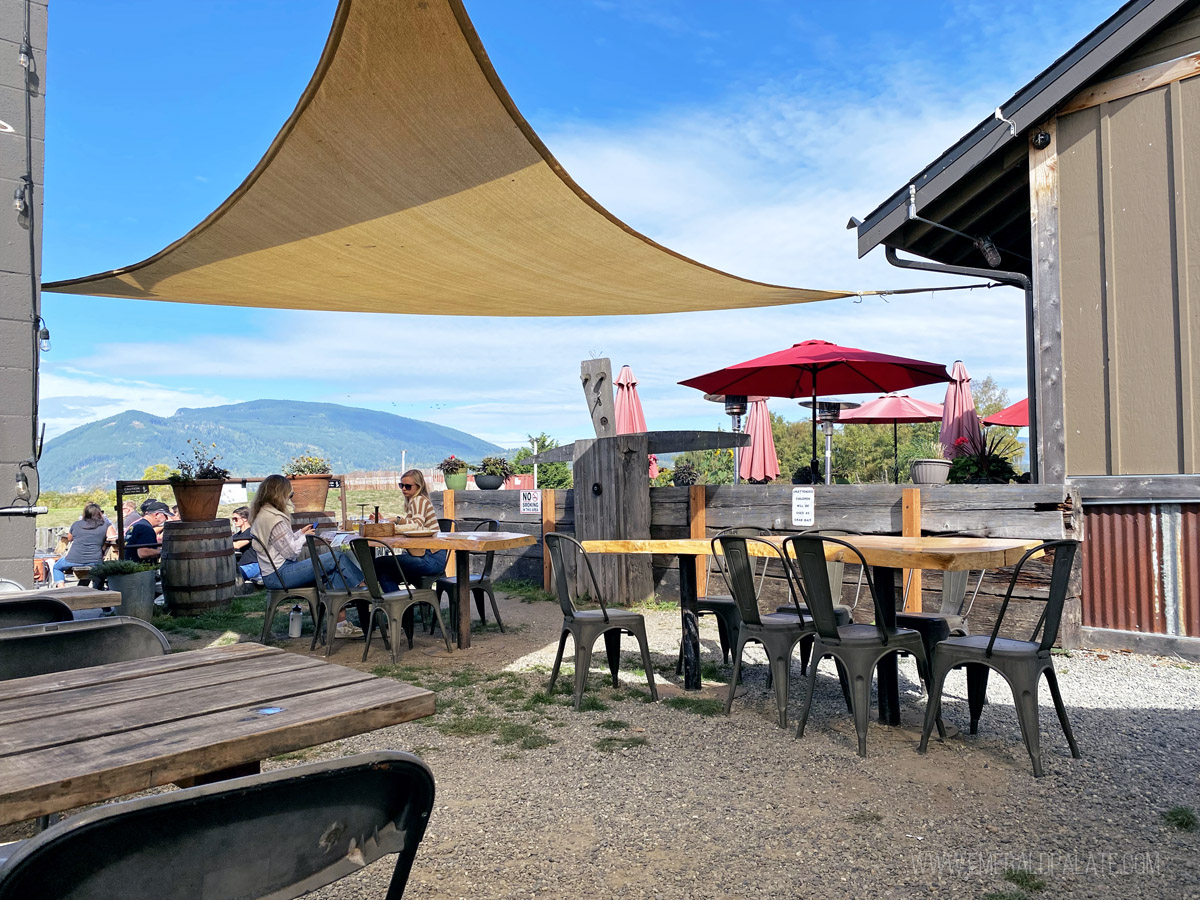 back patio at Terramar Brewery, one of the best things to do in Skagit County