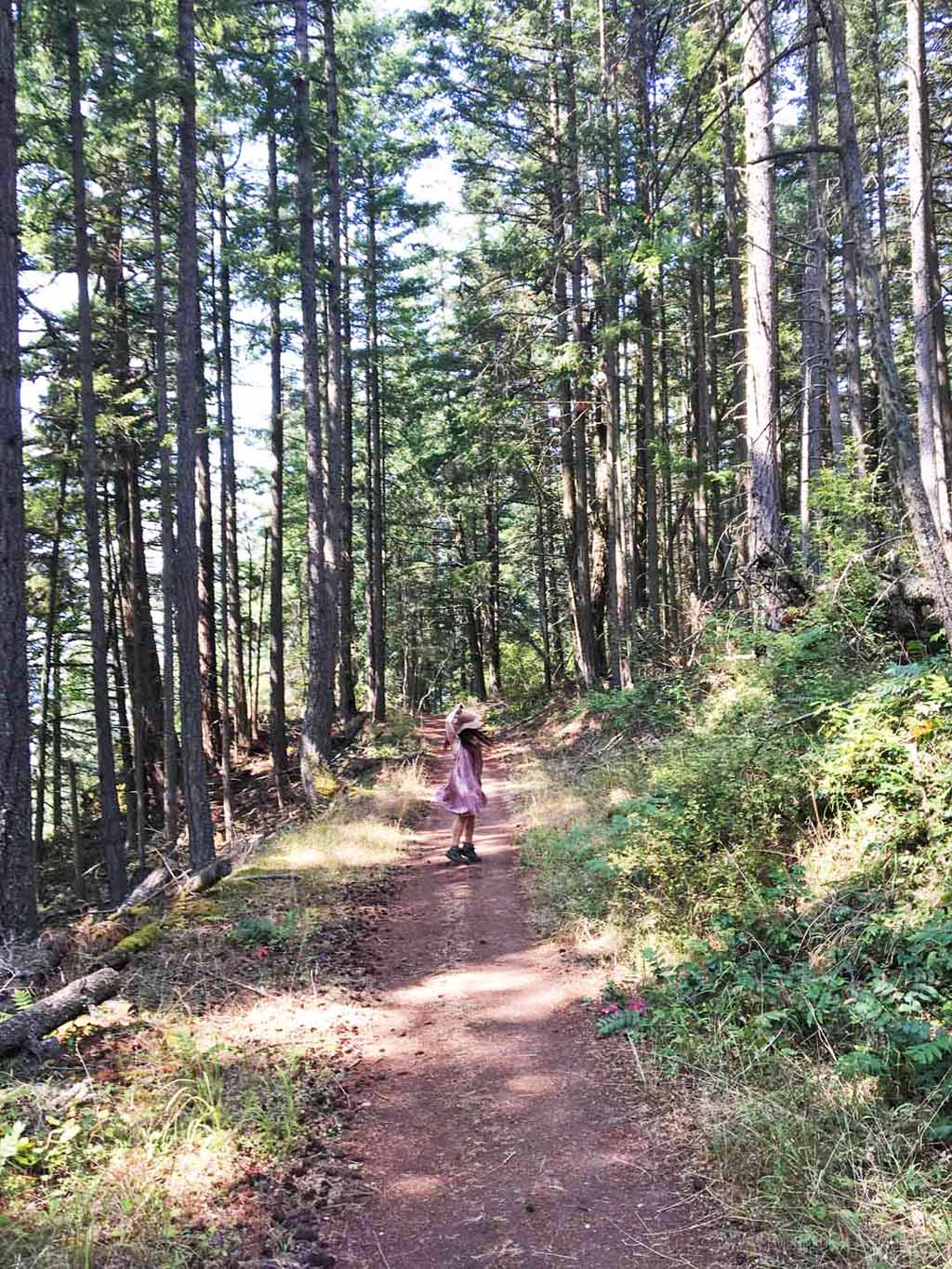 woman spinning in forest at Bakers Preserve, a hike that is a great thing to do on Lummi Island