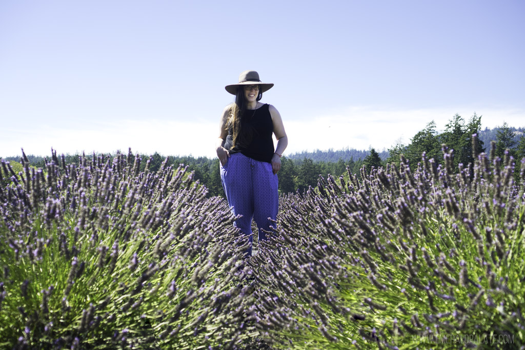 woman in lavender farm fields on San Juan Island