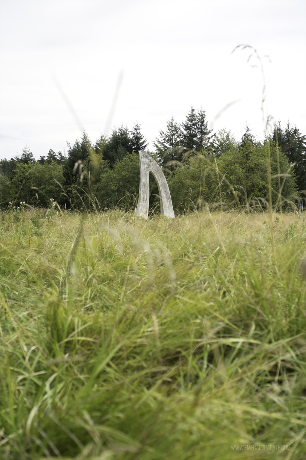 view of sculpture at Sculpture Park