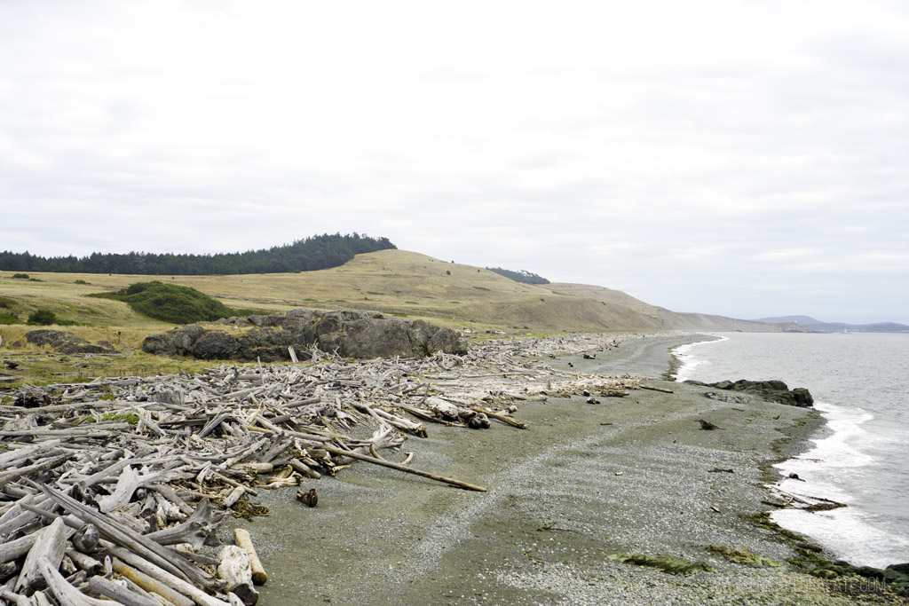 view of South Beach on San Juan Island