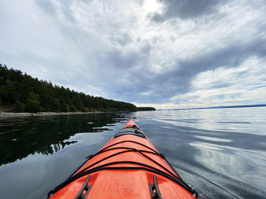 kayak in the water during the best time to kayak with orcas in Seattle