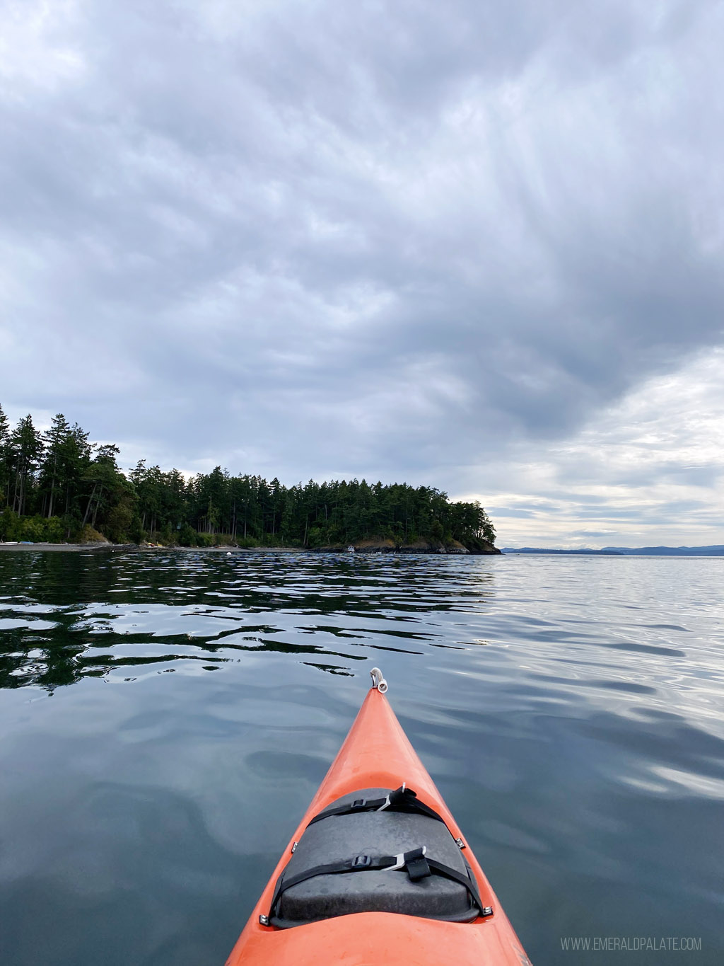 kayaking on Salish Sea during San Juan Island day trip